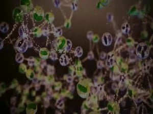 c2vi_Air_Purifiers_for_Infection_Control 1_thumb